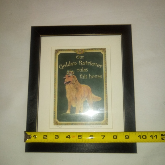 Jay Wennersten - Picture 5 of 6